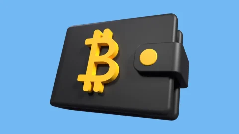 ビットコインはメタマスクが使えない!Xverse Walletを使おう!