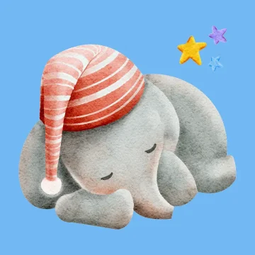 非公開: SleeFiの始め方|SleeFi現役OGによる完全徹底解説!